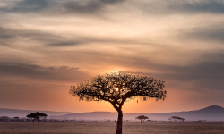 Featured image of post À propos du site de photos pour blogs "Unsplash"