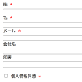 入力フォームの必須マークについて