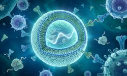 Featured image of post الآليات العلمية الشاملة للقاحات mRNA المضادة لـ COVID-19: من البيولوجيا الجزيئية وهندسة النانو إلى المناعة متعددة الطبقات وثورة الطب المستقبلي