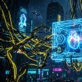 Kompromiss zwischen Datenschutz und Komfort: Der Verbleib persönlicher Daten im Zeitalter von Big Data