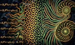 Featured image of post Biologie mathématique et modèles de Turing : Les mathématiques de l'auto-organisation et de la morphogenèse léguées par le génie dans ses dernières années