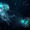 ホタルや深海生物は、なぜ熱を出さずに光れるのか:生物発光と「冷たい光」の量子化学