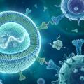 COVID-19 mRNAワクチンの科学的メカニズムと全貌：分子生物学・LNP工学・多層的免疫応答から未来の医療革命まで