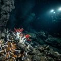 深海生態系と熱水噴出孔の科学：太陽光に依存しない化学合成・極限環境適応・生命起源論と宇宙生物学の全貌