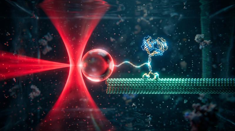 Featured image of post 光で小さな物体をつかめるのか：光ピンセットと分子を操る技術