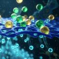 水はなぜ膜を越えて移動するのか：浸透圧の熱力学からアクアポリン、逆浸透（RO）海水淡水化まで