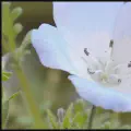 paint.netで画像に枠線をつける簡単な方法・手順